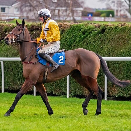 Kelso Races 2022 Kelso Races 2022
