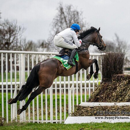 Kelso Races 2026 Kelso Races 2026