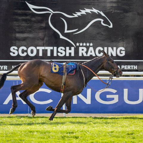 2016-04-20-7-PhotoShop