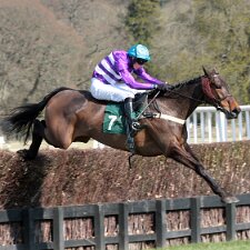 2005 - 2011 Perth Racecourse is a thoroughbred horse racing venue adjacent to the ancient Scone Palace, near Perth, Scotland. Perth...