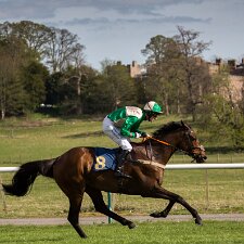 2015 Perth Racecourse is a thoroughbred horse racing venue adjacent to the ancient Scone Palace, near Perth, Scotland. Perth...