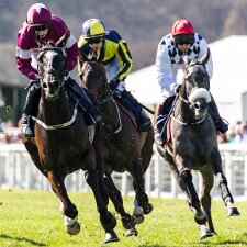 2016 Perth Racecourse is a thoroughbred horse racing venue adjacent to the ancient Scone Palace, near Perth, Scotland. Perth...