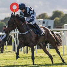 2017 Perth Racecourse is a thoroughbred horse racing venue adjacent to the ancient Scone Palace, near Perth, Scotland. Perth...