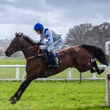 2018 Photographs taken mainly using a Sony RX100M2 compact camera and on two occasions a Canon 1DX Mark II slr.