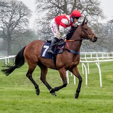 2023-04-27 Photographs taken on a very dull day using a Sony RX100 M2 compact camera.