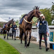 2023-05-18 Photographs taken using a Sony RX100 M2 compact camera