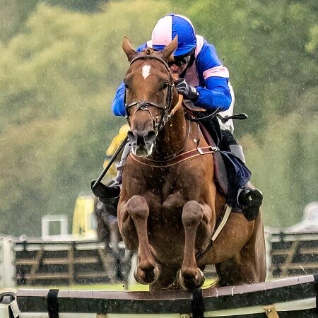 Perth Races 2023 Perth Races 2023