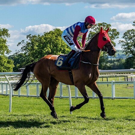 Perth Races 2017-2021 Perth Races 2017-2021